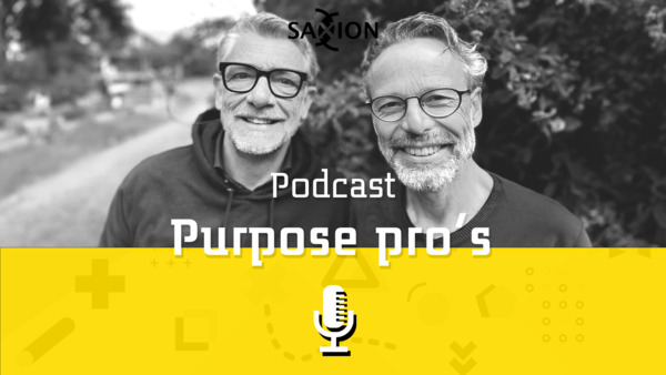Purpose pro\'s leren uit verhalen over onderwijs