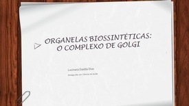 Miniatura para entrada Organelas_biossinteticas_o_complexo_de_golgi