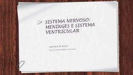 Miniatura para entrada sistema nervoso meninges sistema ventricular