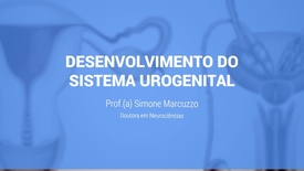 Miniatura para entrada desenvolvimento_do_sistema_urogenital
