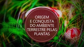 Miniatura para entrada origem_conquista_ambiente_terrestre_plantas