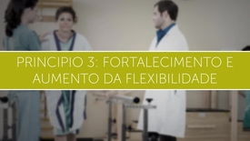 Miniatura para entrada principio_3_fortalecimento_e_aumento_da_flexibilidade