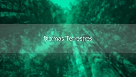 Miniatura para entrada biomas_terrestres