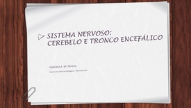 Miniatura para entrada sistema_nervoso_encefalo_cerebelo_tronco_encefalico