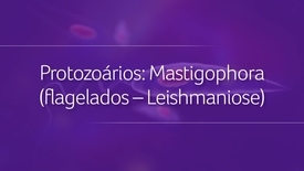 Miniatura para entrada protozoarios_mastigophora_flagelados_leishmaniose