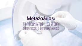Miniatura para entrada metazoarios_platelmintos_cestoda_hidatidose_e_difilobrotriase