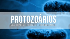 Miniatura para entrada protozoarios_mastigophora