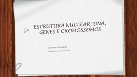Miniatura para entrada Estrutura nuclear:DNA, genes e cromossomos
