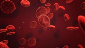 Miniatura para entrada Hemoglobina sintese e caracteristicas