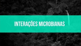 Miniatura para entrada interacoes_microbianas