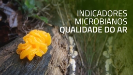 Miniatura para entrada indicadores_microbianos_qualidade_do_ar