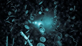Miniatura para entrada Pseudomonas, Acinetobacter e bactérias relacionadas