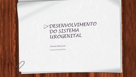Miniatura para entrada desenvolvimento_do_sistema_urogenital