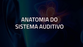 Miniatura para entrada Anatomia_Do_Sistema_Auditivo