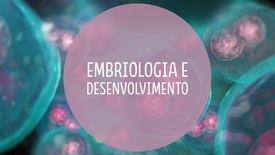 Miniatura para entrada embriologia_desenvolvimento_humano