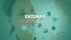Miniatura para entrada enzimas_conversores_cataliticos