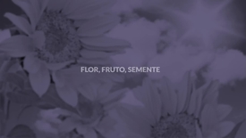 Miniatura para entrada 08_flor_frutos_e_semente