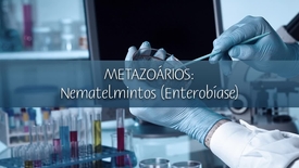 Miniatura para entrada metazoarios_nematelmintos_enterobiase