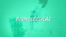 Miniatura para entrada biomoleculas