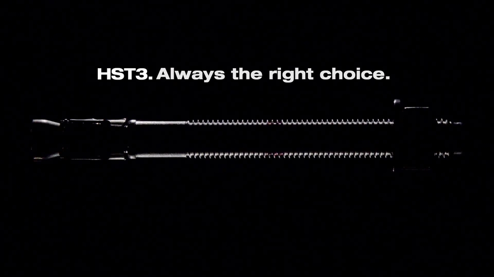 HST3 - Flexibility, Part C. (EN / 78857)