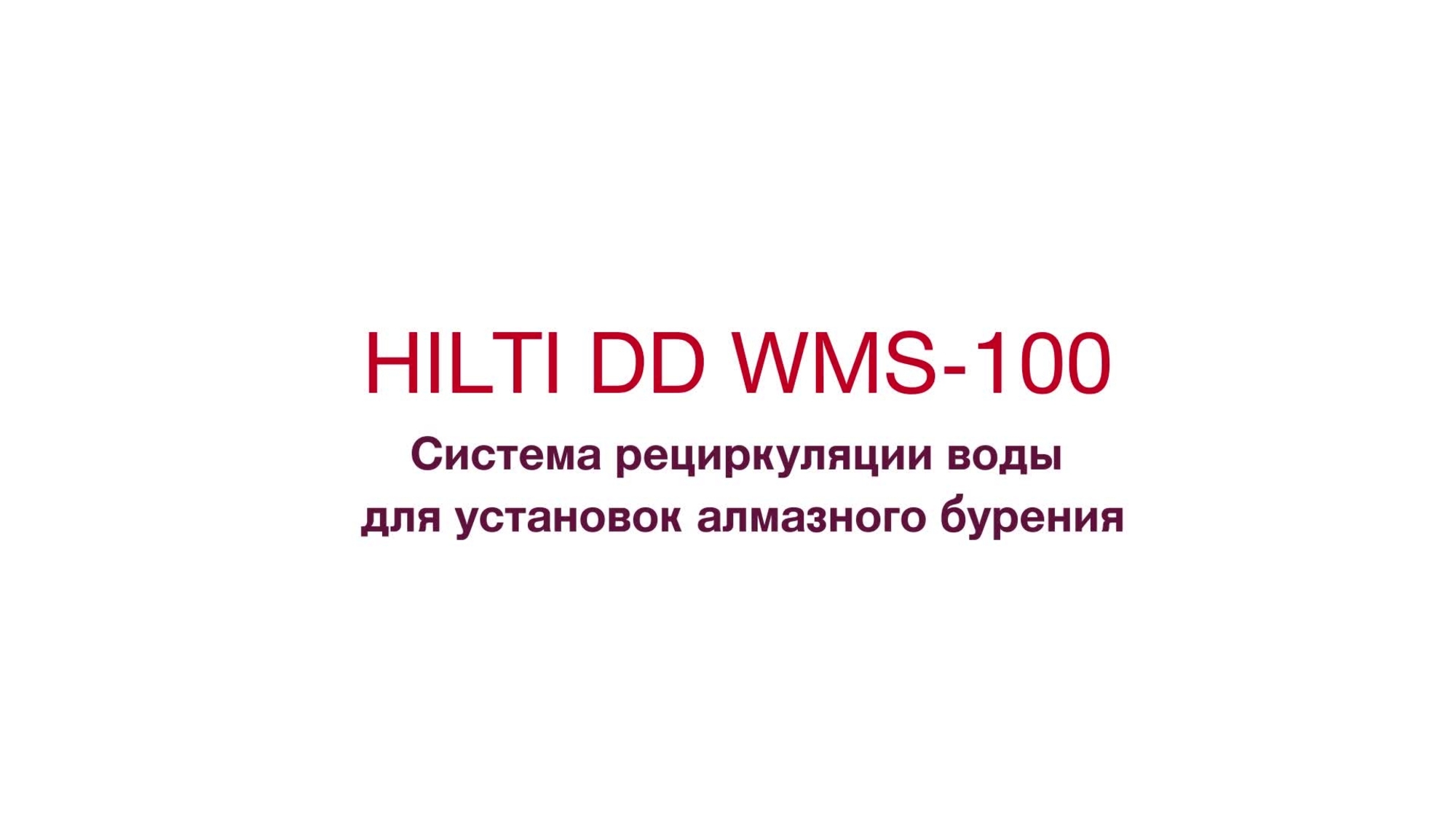 DD-WMS 100_prv_RU (RU / 178367)