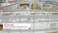 Hilti_SF_2019_SF6_Promo_JP_v2 confirmed (JP / 207238)