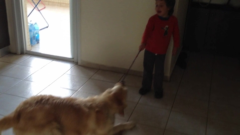 Thumbnail for IMG_1266