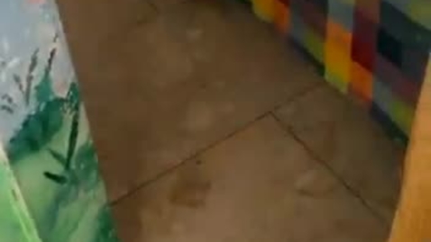 Thumbnail for Каждое утро в садике