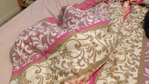 Thumbnail for IMG_0367