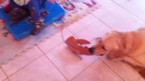 Thumbnail for IMG_1428.mov