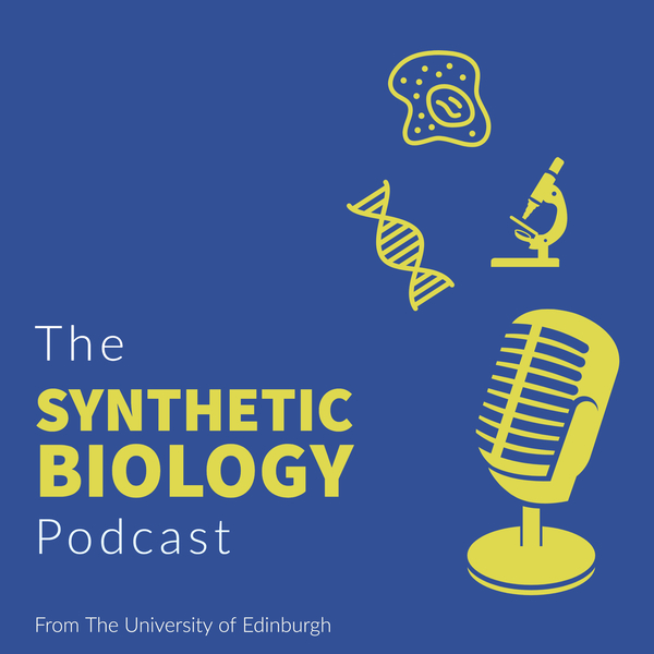 Episode 1: Tilo Kunath