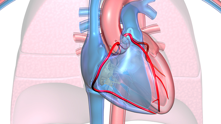 Surgical Videos Consultqd Live Physician To Physician Video