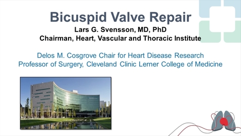 Thumbnail for entry Bicuspid Aortic Valve Repair