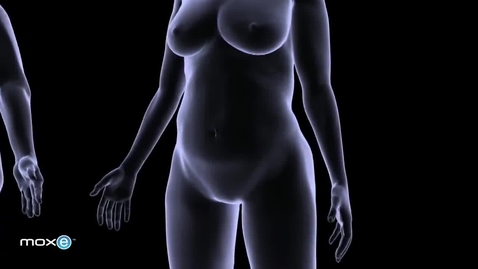 Thumbnail for 3D Rich Media Content for Plastic Surgery