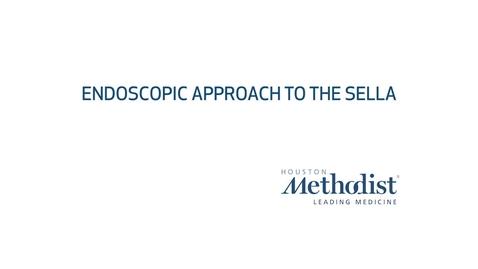 Thumbnail for Endoscopic Approach to the Sella