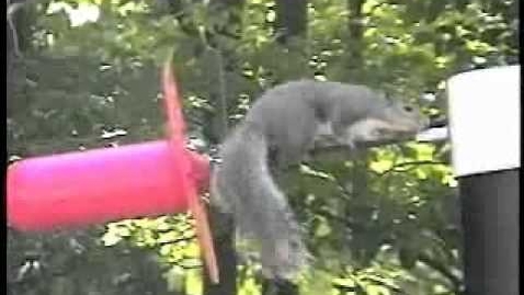 Thumbnail for Critter Guard - Solution to Squirrel Caused Power Outages