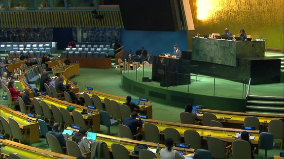 General Assembly: 55th plenary meeting, 80th session