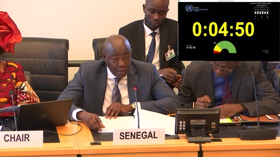 2999th Meeting, 110th Session, Committee on the Elimination of Racial Discrimination (CERD)