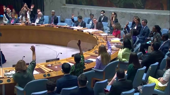 The situation in Mali - Security Council, 9119th meeting