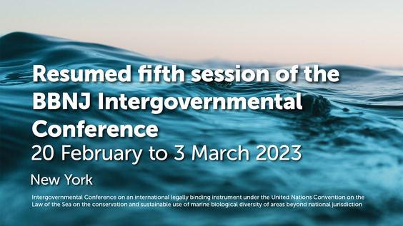 Intergovernmental Conference on Marine Biodiversity of Areas Beyond National Jurisdiction (Resumed Fifth Session, 66th plenary)