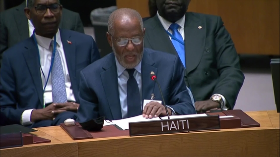 The question concerning Haiti - Security Council, 9136th meeting