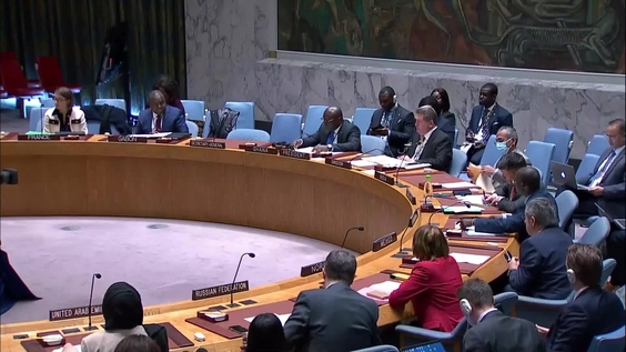 Briefing by the United Nations High Commissioner for Refugees ...