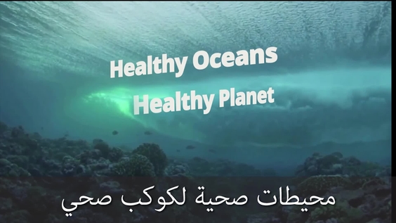 محيطات صحية لكوكب صحي