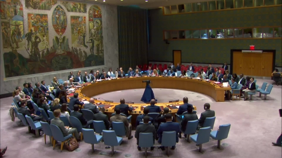 The question concerning Haiti - Security Council, 9430th meeting