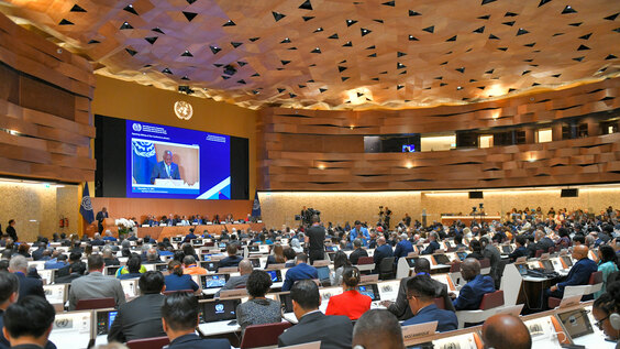 Closing of the 111th International Labour Conference of the International Labour Organization