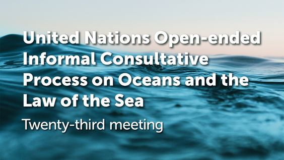 (Discussion panel) Segment 1 (continued) - Open-ended Informal Consultative Process on oceans and the law of the sea