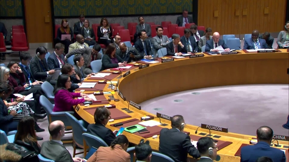 Угрозы международному миру и безопасности - Совет Безопасности, 9542-е заседание