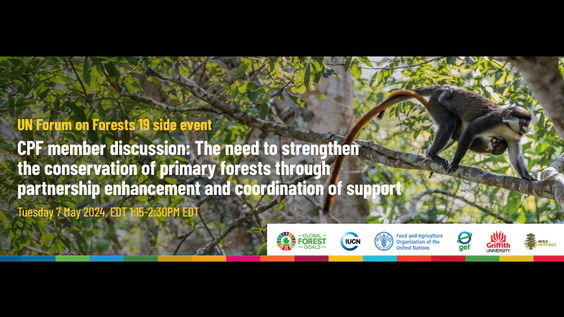 The Need to Strengthen the Conservation of Primary Forests through Partnership Enhancement and Coordination of Support: CPF Member Discussion (UNFF16 Side Event)