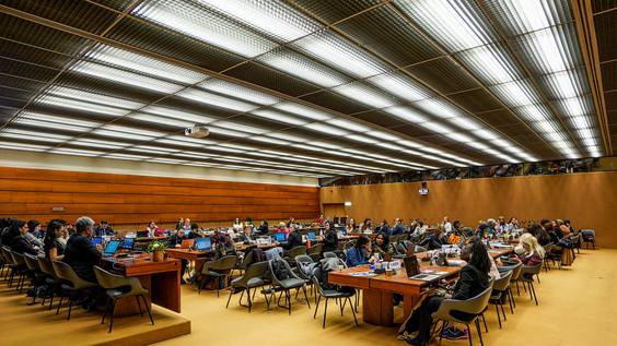 2157th Meeting, 91st Session, Committee on the Elimination of Discrimination against Women (CEDAW)