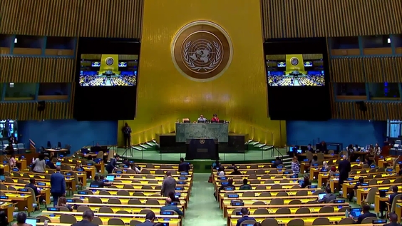 Генеральная Ассамблея:  64-е пленарное заседание, Cемьдесят восьмая сессия